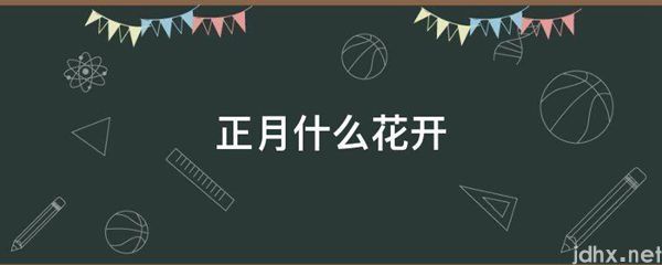 正月什么花开(图1)