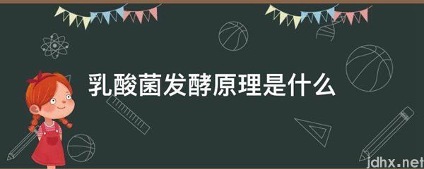 乳酸菌发酵原理是什么图片(图1)