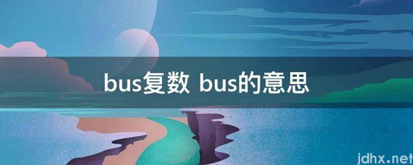 bus复数 bus的意思(图1)