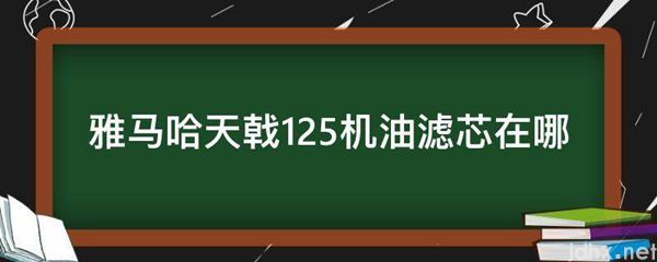 雅马哈天戟125机油滤芯在哪(图1)