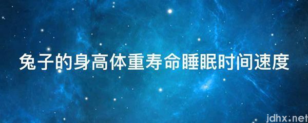 兔子的身高体重寿命睡眠时间速度(图1)