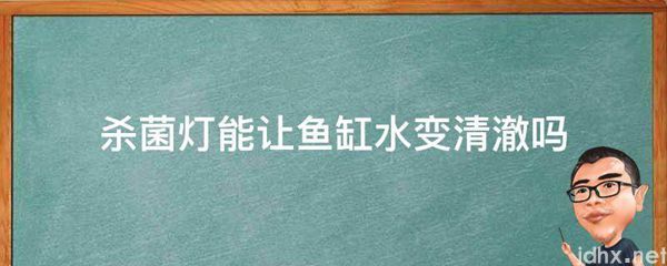 杀菌灯能让鱼缸水变清澈吗(图1)