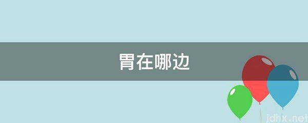 胃在哪边(图1)