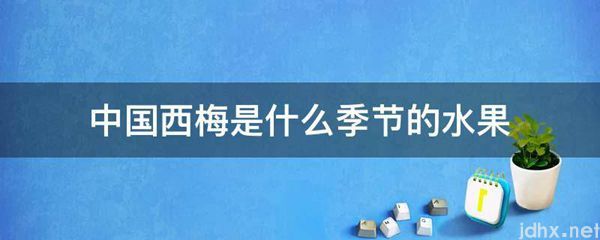 中国西梅是什么季节的水果(图1)
