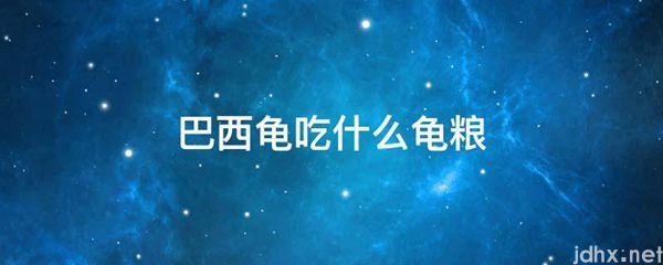 巴西龟吃什么龟粮(图1)