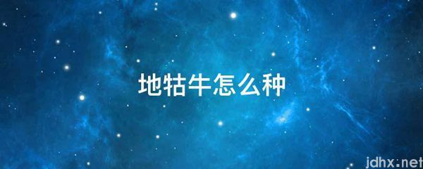 地牯牛怎么种(图1)