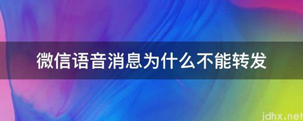 微信语音消息为什么不能转发(图1)
