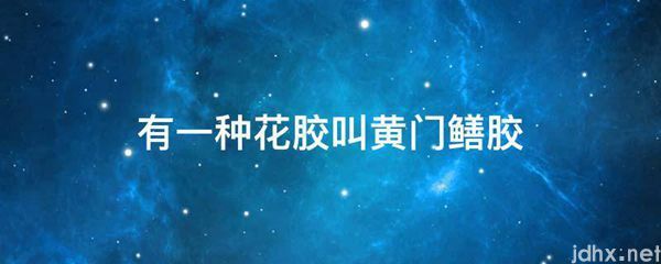有一种花胶叫黄门鳝胶(图1)