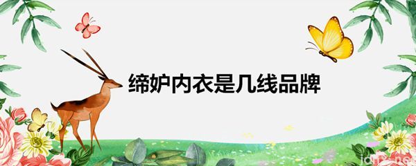 缔妒内衣是几线品牌(图1)