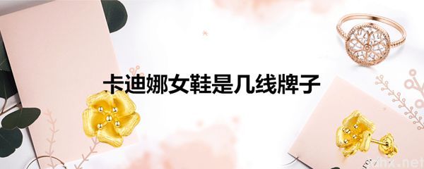 卡迪娜女鞋是几线牌子(图1)