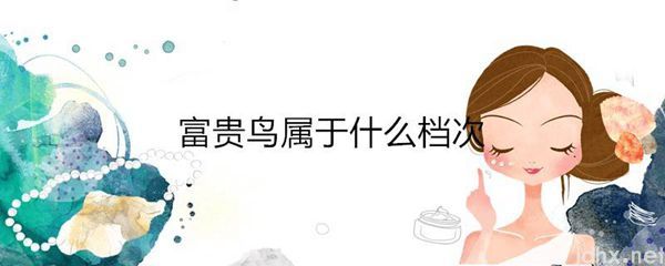 富贵鸟属于什么档次(图1)