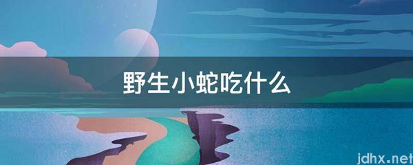 野生小蛇吃什么(图1)