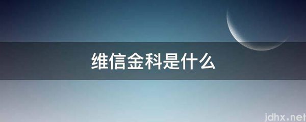 维信金科是什么图片(图1)