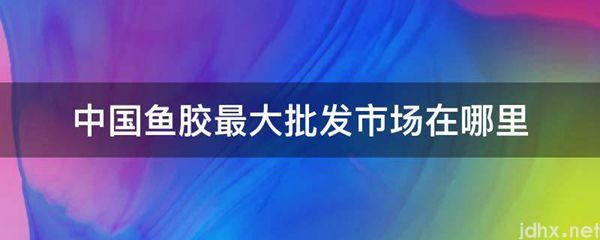 中国鱼胶最大批发市场在什么地方(图1)