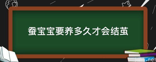 蚕宝宝要养多久才会结茧(图1)