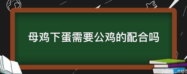 母鸡下蛋需要公鸡的配合吗(图1)