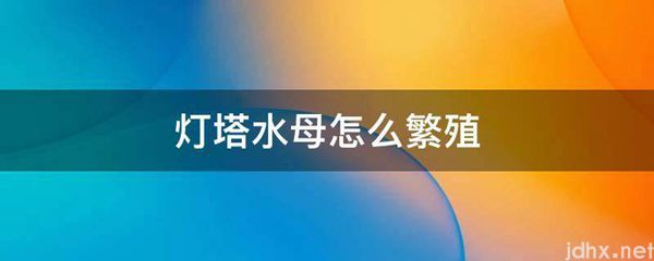 灯塔水母怎么繁殖(图1)