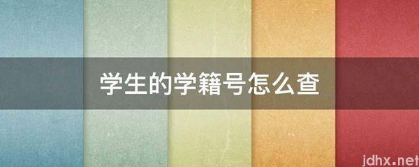 学生的学籍号怎么查(图1)