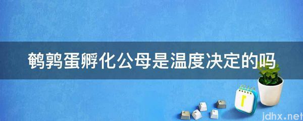 鹌鹑蛋孵化公母是温度决定的吗(图1)