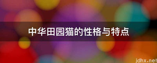 中华田园猫的性格与特点(图1)
