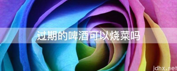 过期的啤酒可以烧菜吗(图1)