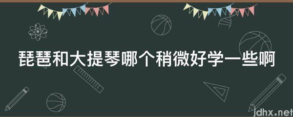 琵琶和大提琴哪个稍微好学一些啊(图1)