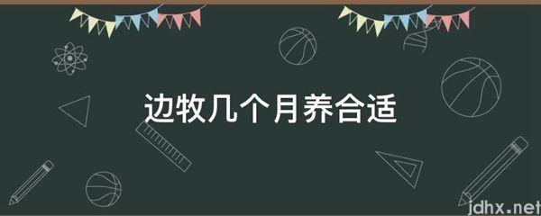 边牧几个月养合适(图1)