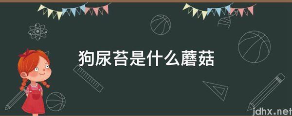 狗尿苔是什么蘑菇(图1)