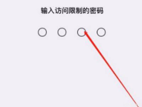 苹果手机有应用锁吗(图5)