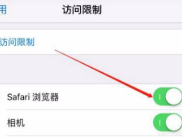 苹果手机有应用锁吗(图6)