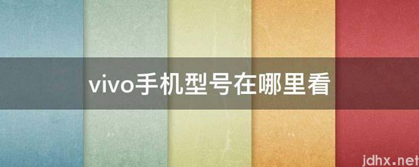 vivo手机型号在什么地方看(图1)
