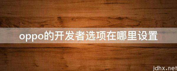 oppo的开发者选项在什么地方设置(图1)