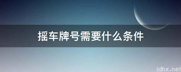 摇车牌号需要什么条件(图1)