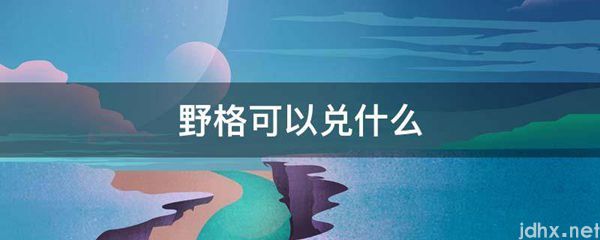 野格可以兑什么(图1)