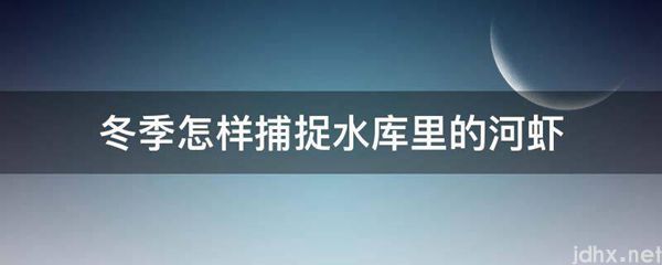 冬季怎样捕捉水库里的河虾(图1)