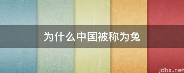 为什么中国被称为兔(图1)