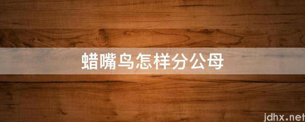 蜡嘴鸟怎样分公母(图1)