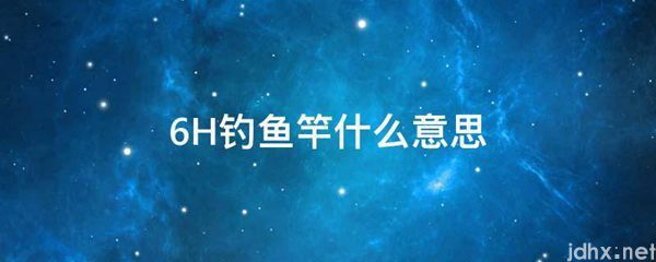 6H钓鱼竿什么意思(图1)