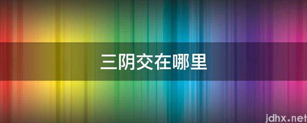 三阴交在什么地方(图1)