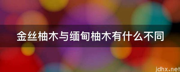 金丝柚木与缅甸柚木有什么不同(图1)