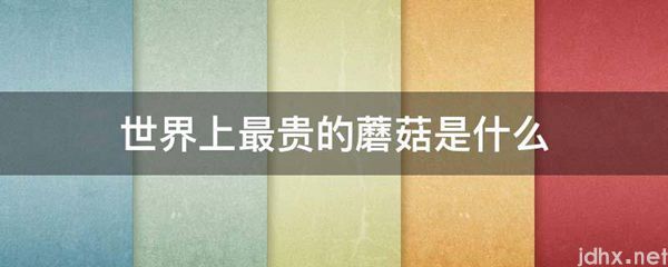 世界上最贵的蘑菇是什么图片(图1)