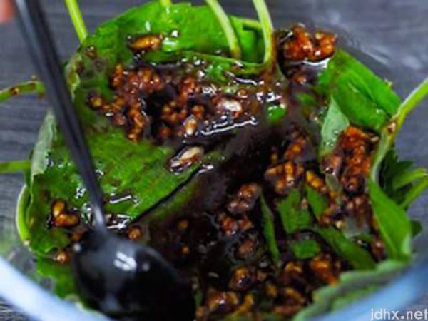 新鲜的紫苏叶怎么吃(图4)