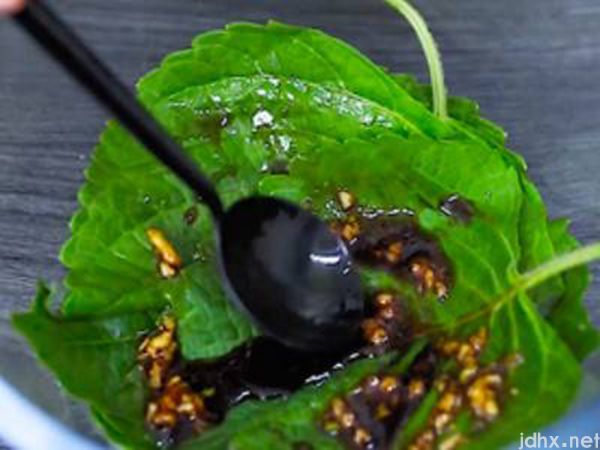 新鲜的紫苏叶怎么吃(图3)