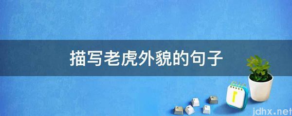 描写老虎外貌的句子(图1)