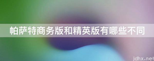 帕萨特商务版和精英版有哪些不同(图1)