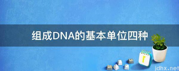 组成DNA的基本单位四种(图1)
