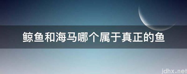鲸鱼和海马哪个属于真正的鱼(图1)