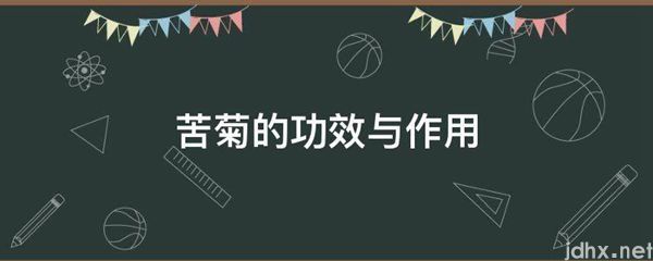苦菊的功效与作用(图1)