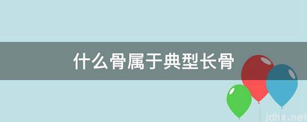 什么骨属于典型长骨(图1)