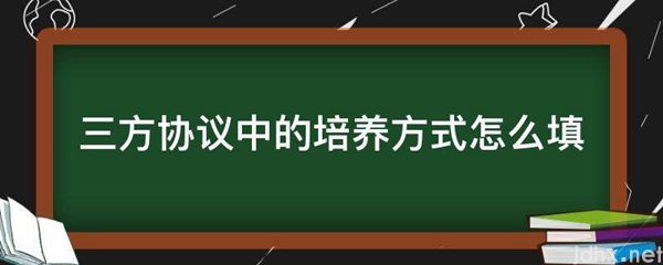 三方协议中的培养方式怎么填(图1)